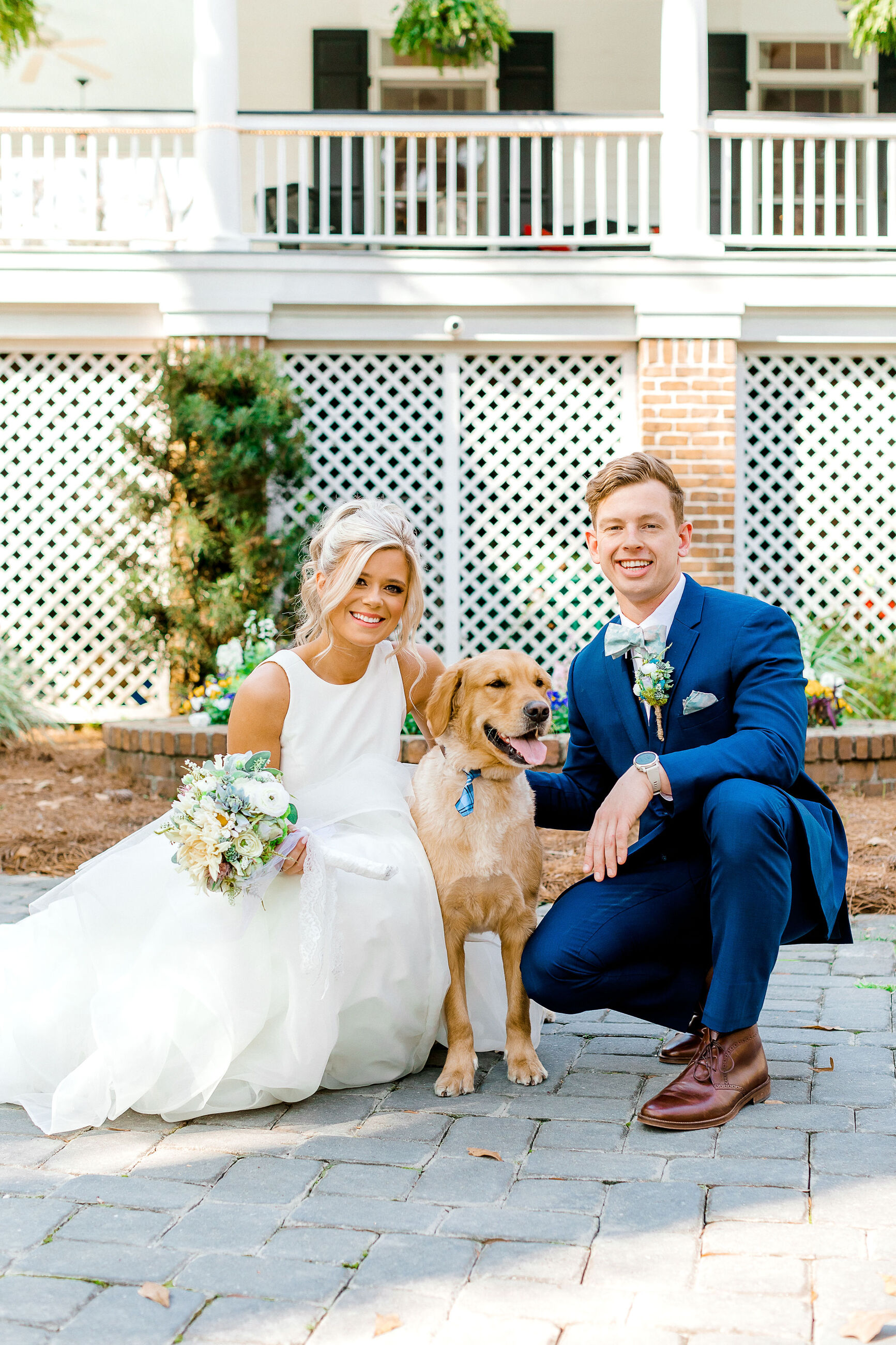 bride groom and dog
